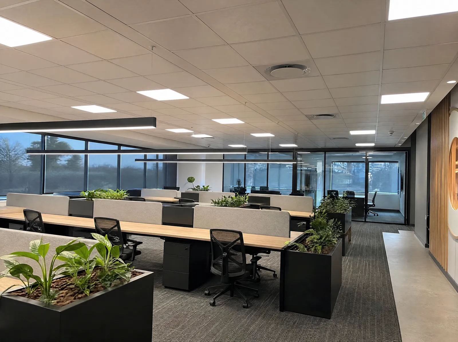 LED panels and suspended linear luminaires in a modern open-plan office